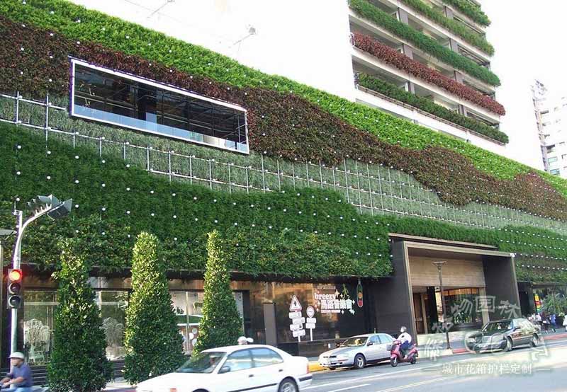 墻體垂直綠化植物的作用 墻體垂直綠化植物的作用