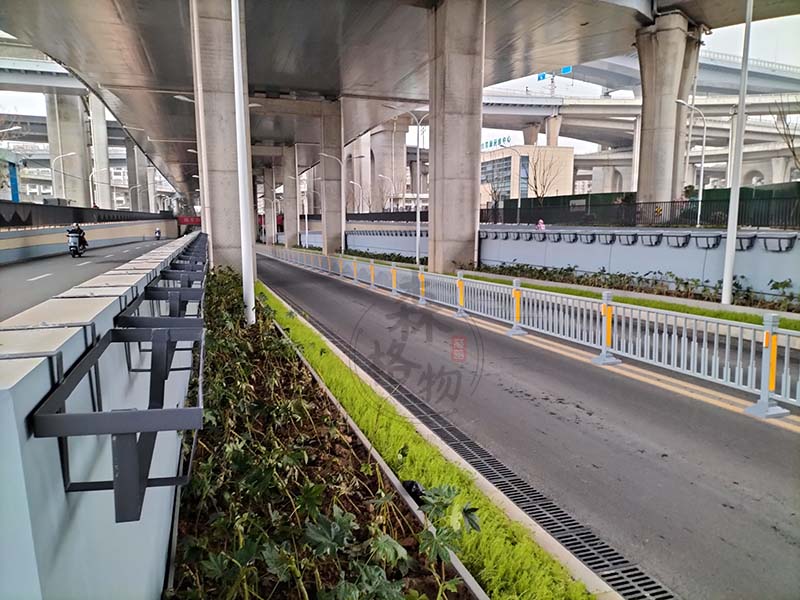 高架橋梁懸掛式不銹鋼花架 高架橋梁懸掛式不銹鋼花架