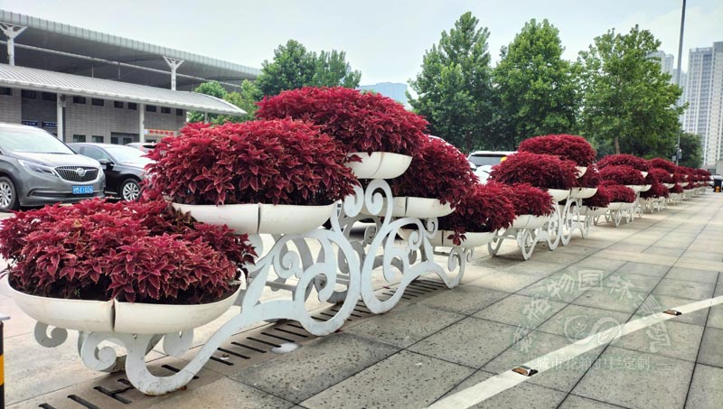 高鐵車(chē)站小型立體花架案例