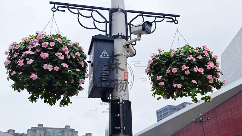 垂掛式燈桿花盆裝飾案例